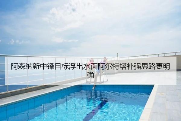 阿森纳新中锋目标浮出水面阿尔特塔补强思路更明确