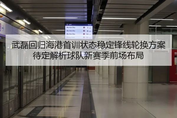 武磊回归海港首训状态稳定锋线轮换方案待定解析球队新赛季前场布局